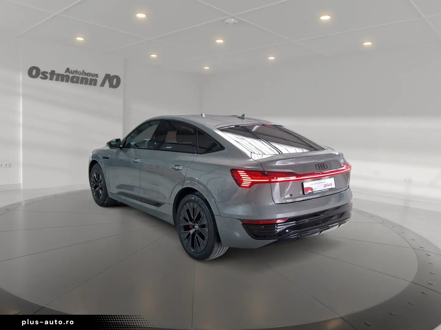 AUDI Q8 Sportback e-tron 50 quattro S-Line AHK Matrix