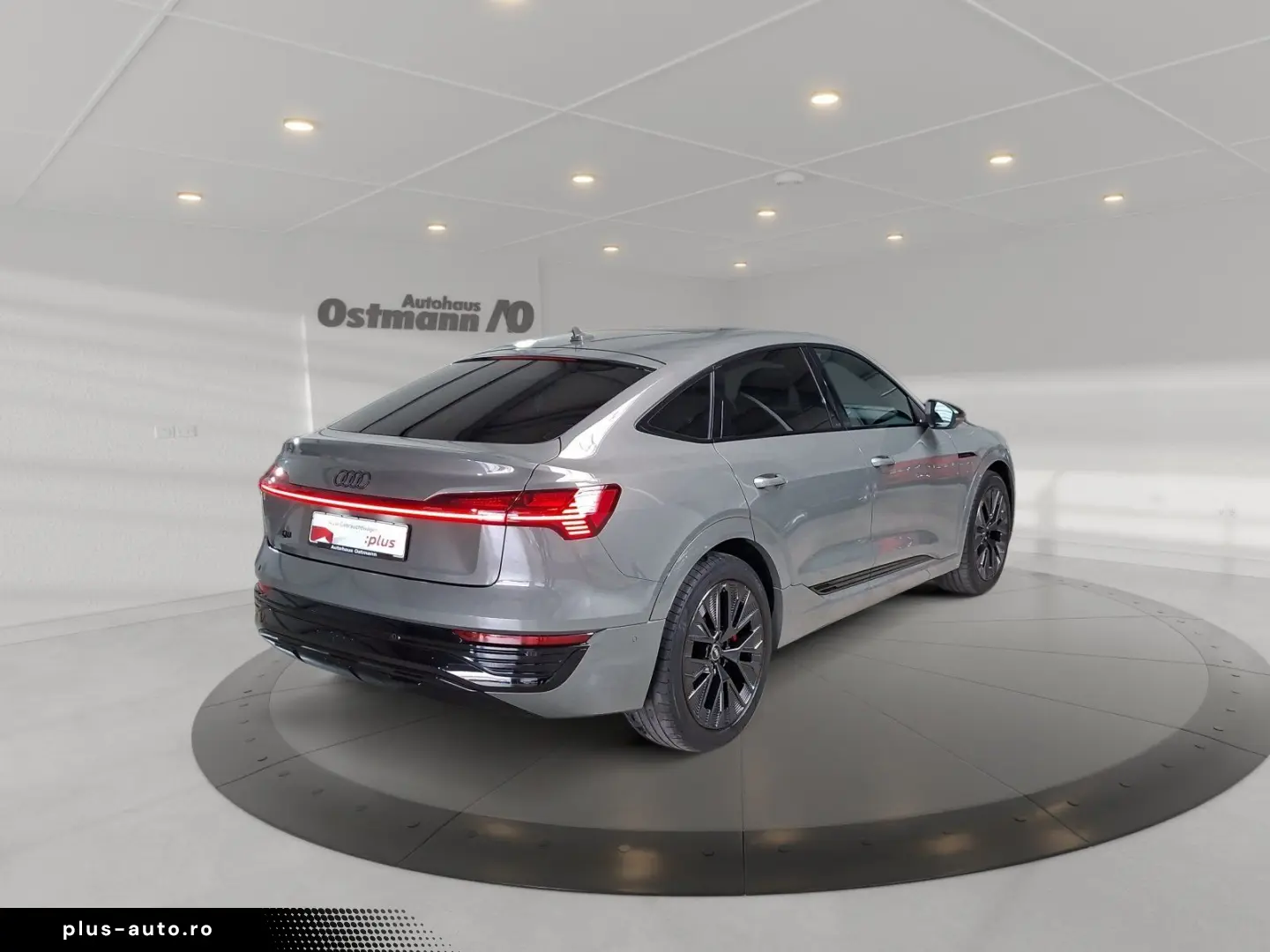 AUDI Q8 Sportback e-tron 50 quattro S-Line AHK Matrix
