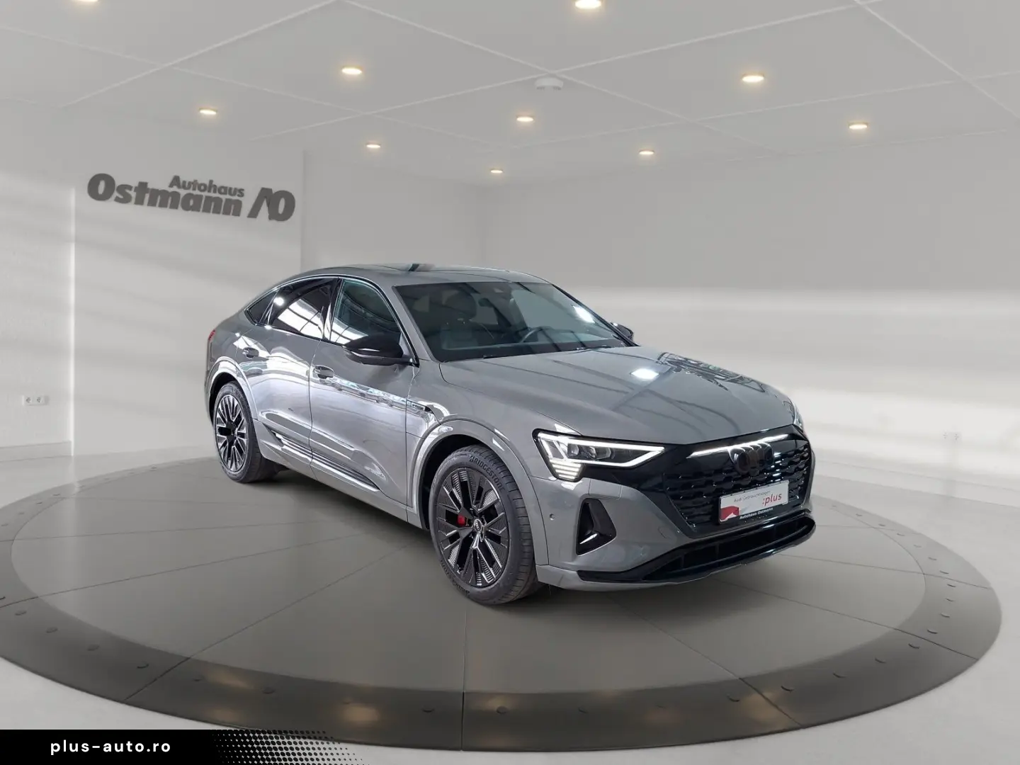 AUDI Q8 Sportback e-tron 50 quattro S-Line AHK Matrix