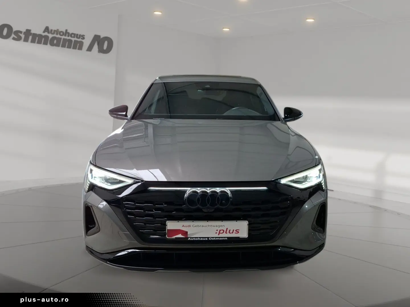 AUDI Q8 Sportback e-tron 50 quattro S-Line AHK Matrix