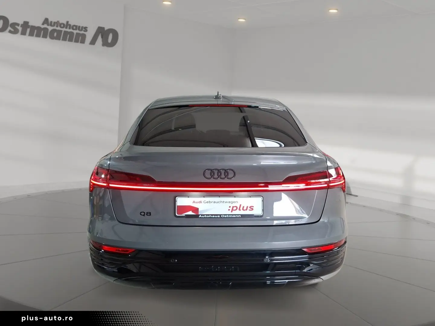 AUDI Q8 Sportback e-tron 50 quattro S-Line AHK Matrix