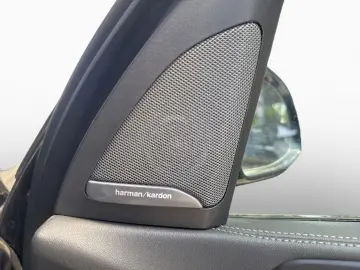 BMW X5 xDr30d MSpo Pro SkyLounge IcGlow SoftClo Ventilation