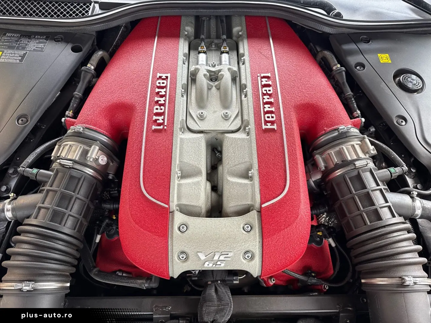 FERRARI 812 GTS  Lift Karbon Embleme Daytona