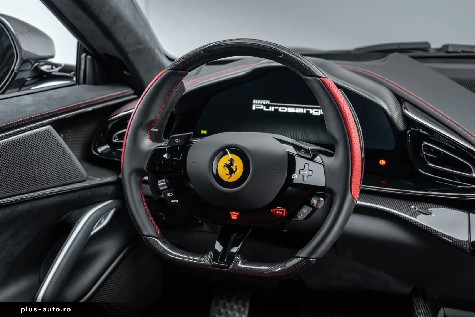 FERRARI Purosangue FULL CARBON FULL PPF PAINTED SHIELDS