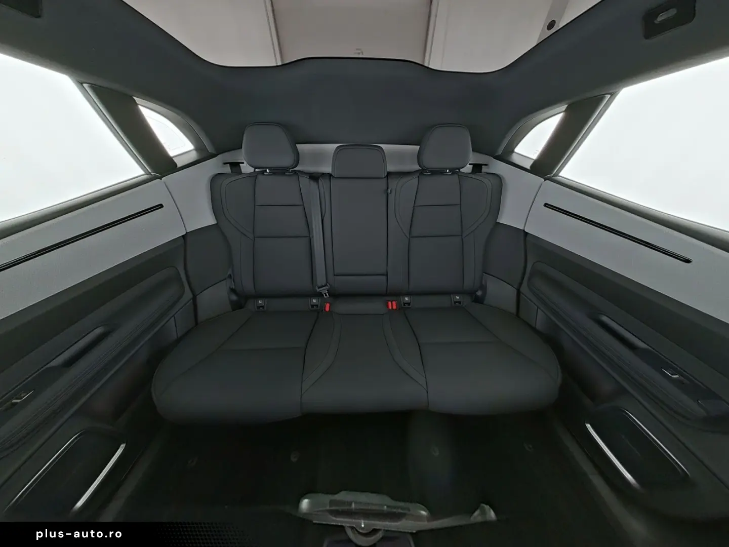 POLESTAR 4 Long Range Dual Pilot & Plus Paket Pixel LED