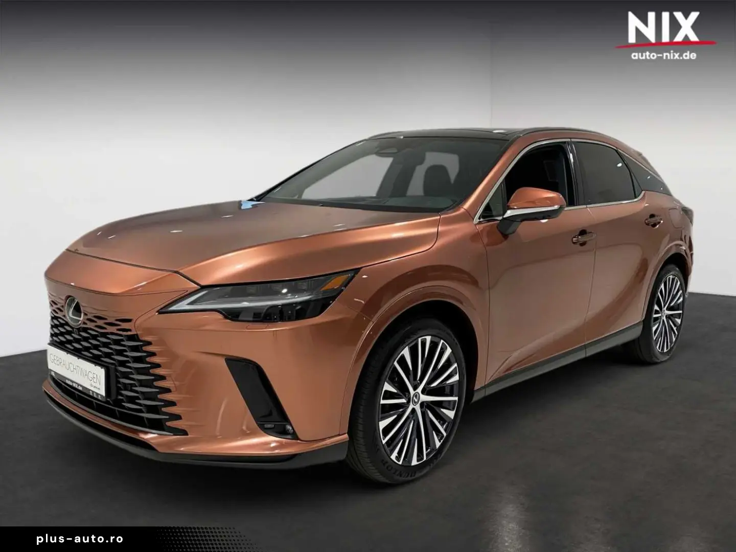 LEXUS RX 450h   Executive Line PANO 360 -KAMERA