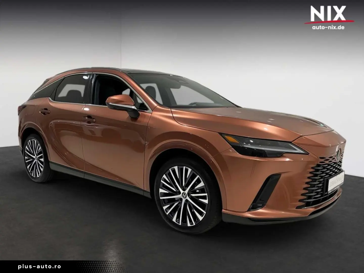 LEXUS RX 450h   Executive Line PANO 360 -KAMERA