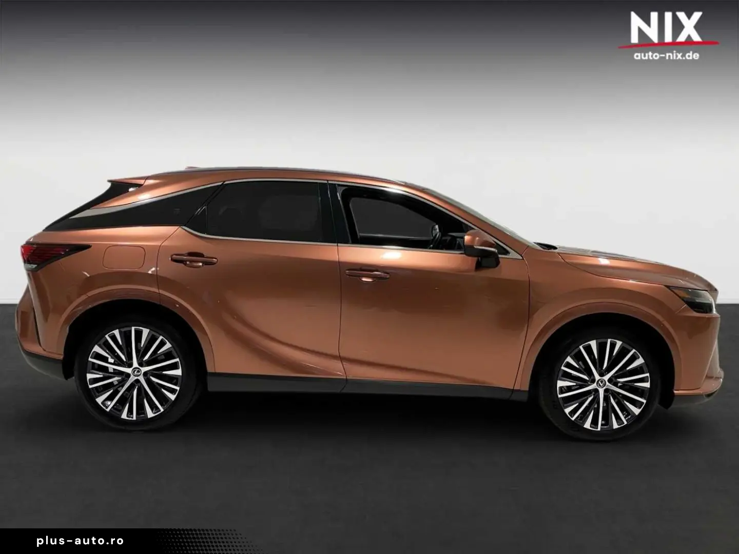 LEXUS RX 450h   Executive Line PANO 360 -KAMERA