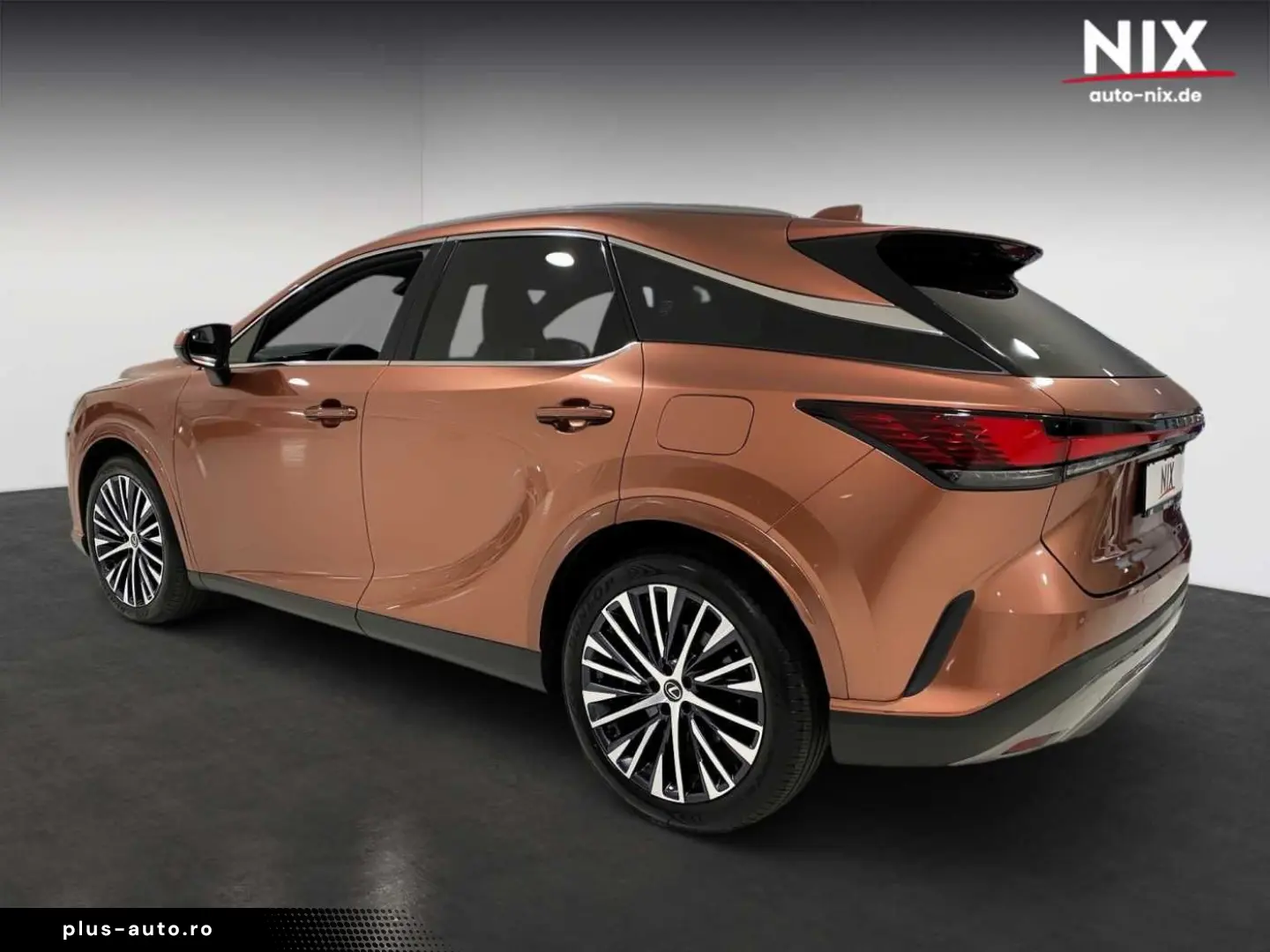 LEXUS RX 450h   Executive Line PANO 360 -KAMERA