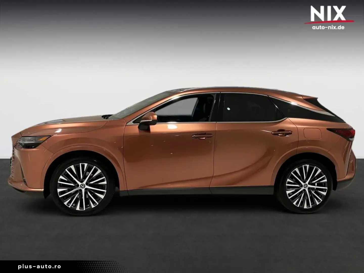 LEXUS RX 450h   Executive Line PANO 360 -KAMERA
