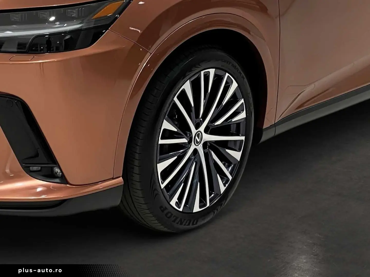 LEXUS RX 450h   Executive Line PANO 360 -KAMERA