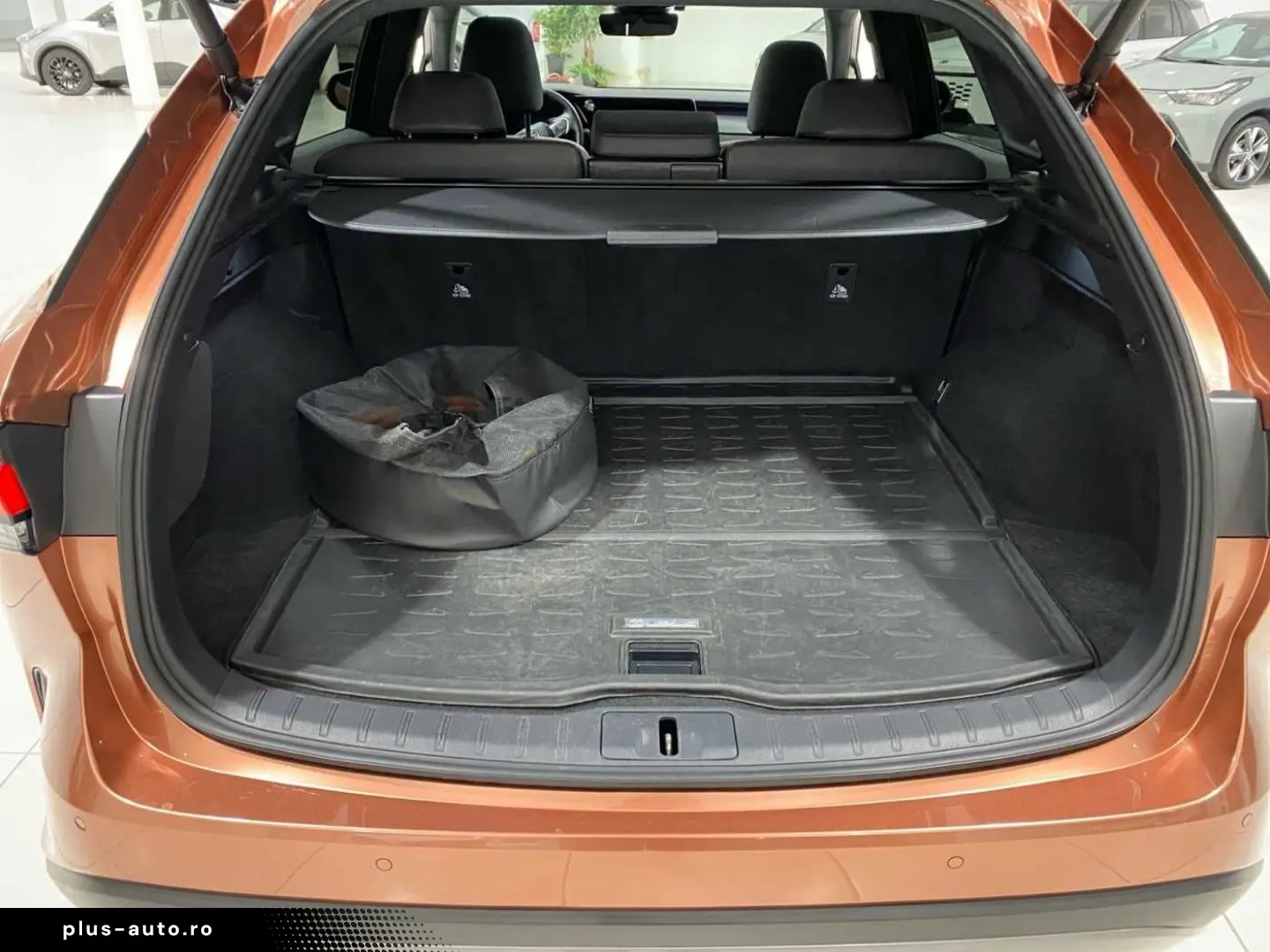 LEXUS RX 450h   Executive Line PANO 360 -KAMERA