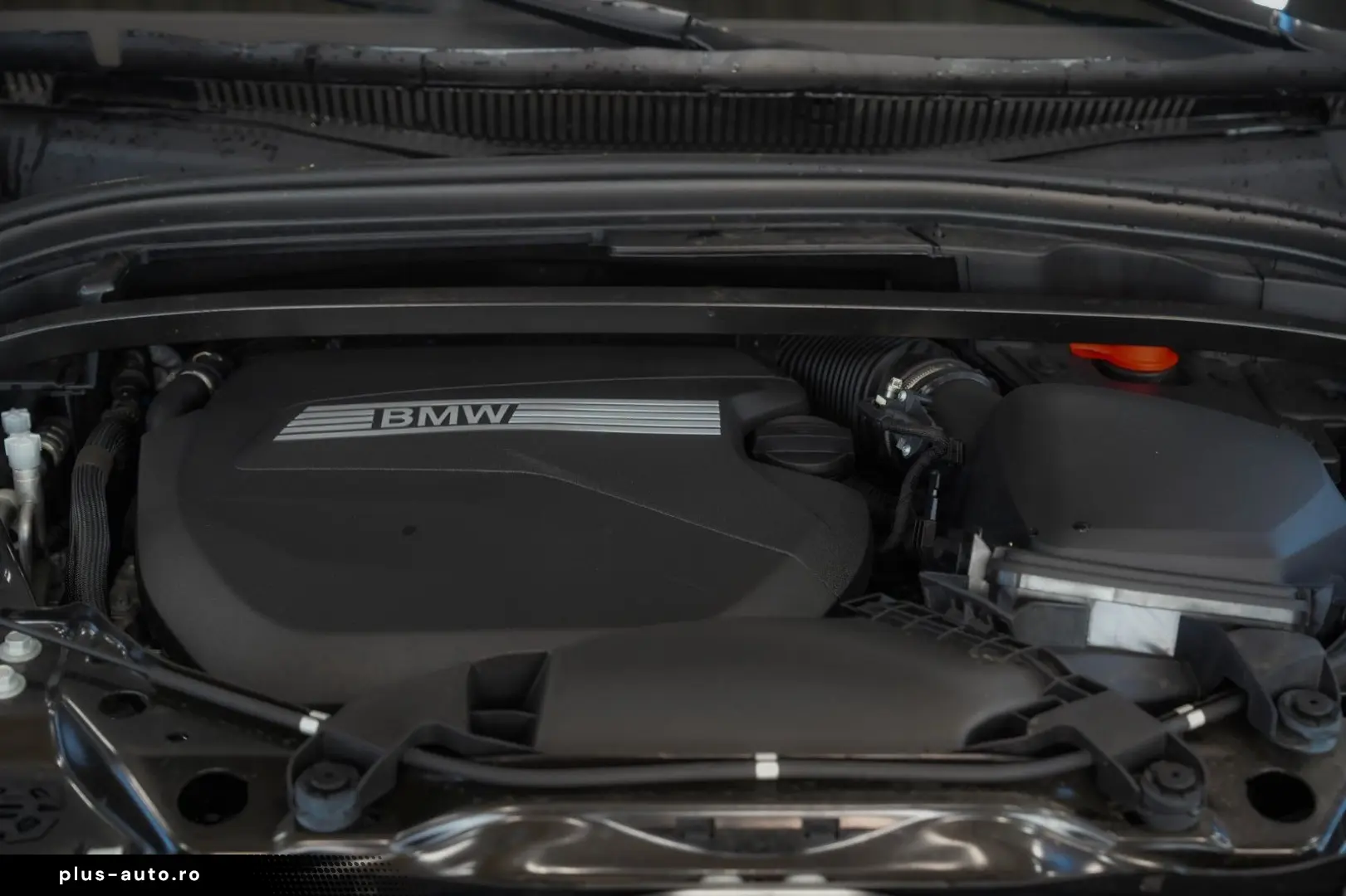 BMW X2 20d xDrive M Sport LEDER H K INDIVIDUAL 20 LM