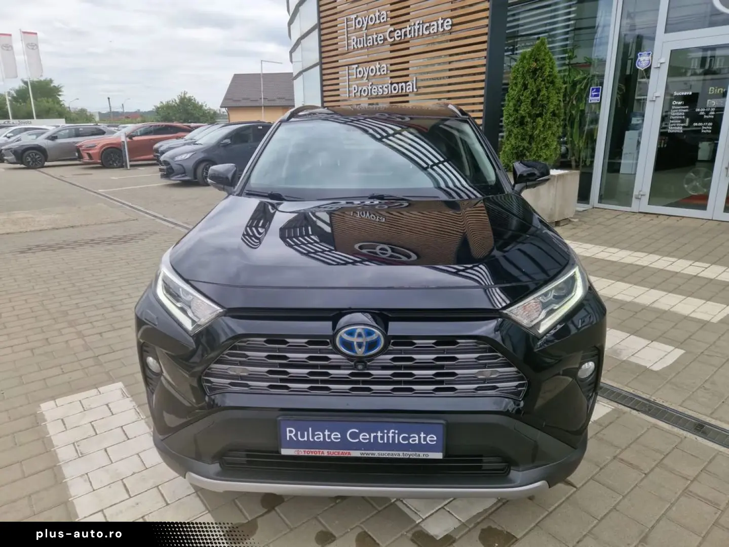 Toyota Rav-4
