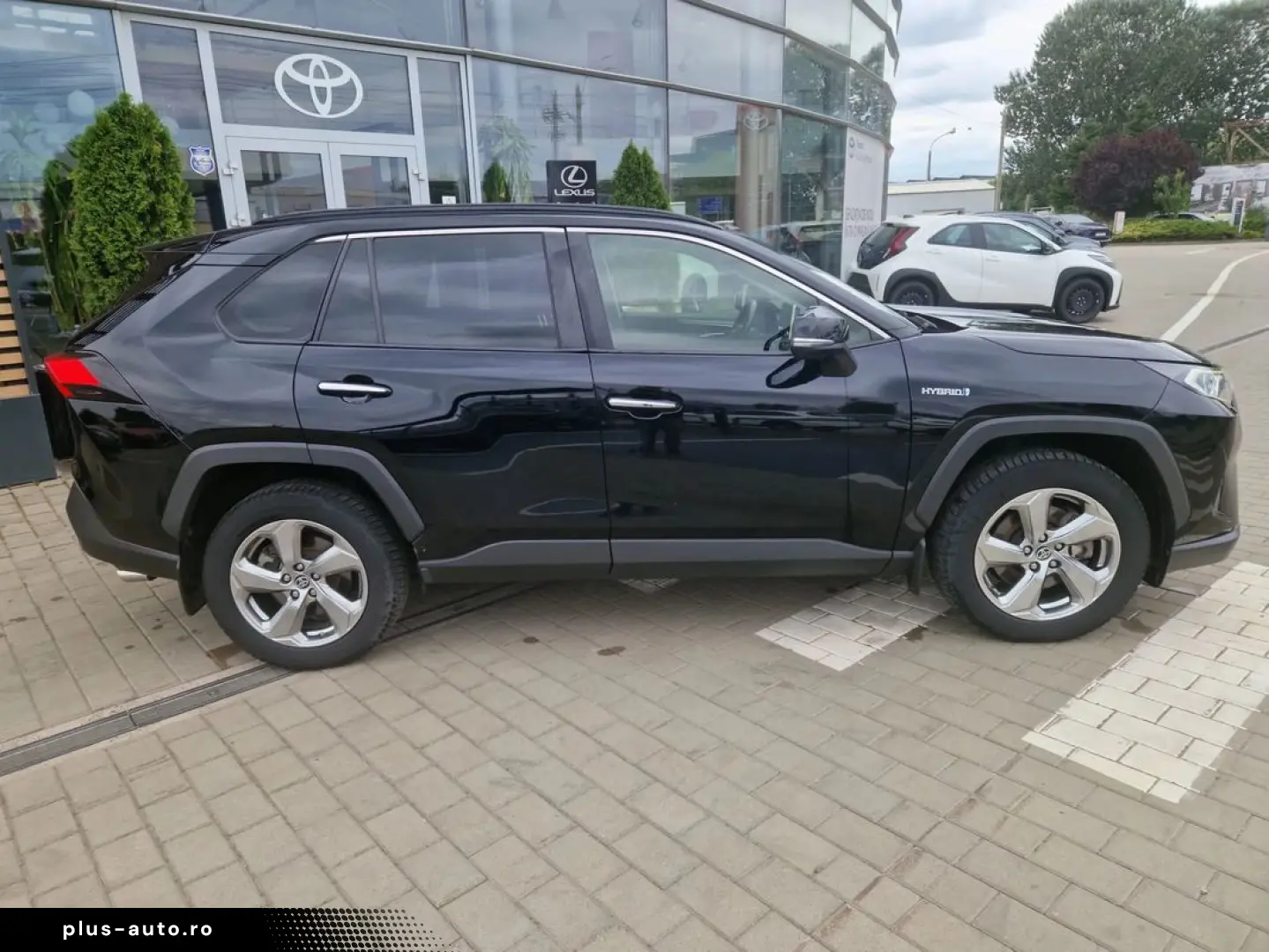 Toyota Rav-4