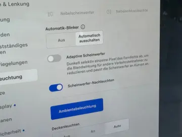 TESLA Model S Dual Motor Palladium HW4  8fachbereift