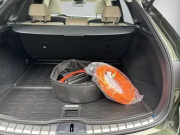 LEXUS RX 450h  LUXURY LINE