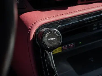 LEXUS NX 450h  Executive MEMORY SHZ 360 Inter.Pak.