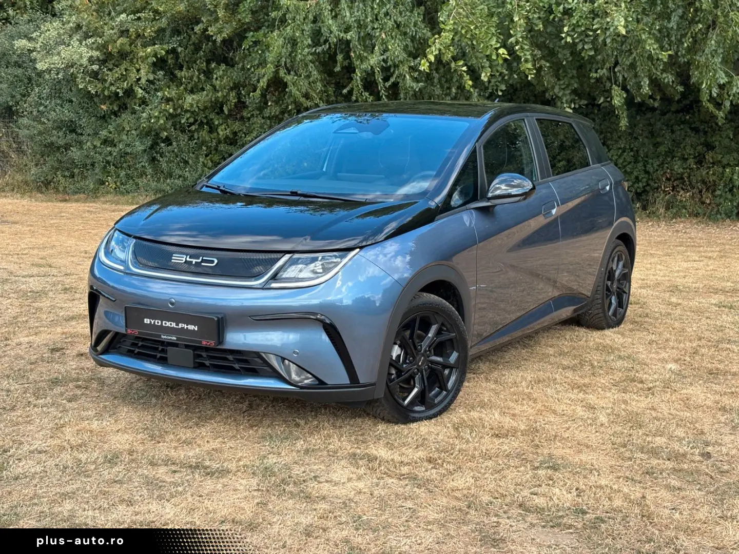 BYD DOLPHIN Design