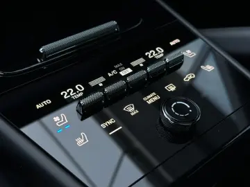 PORSCHE Cayenne E-Hybrid Coupé SHZ V H BOSE HD-Matrix