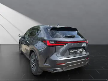 Lexus NX 350h Business Line