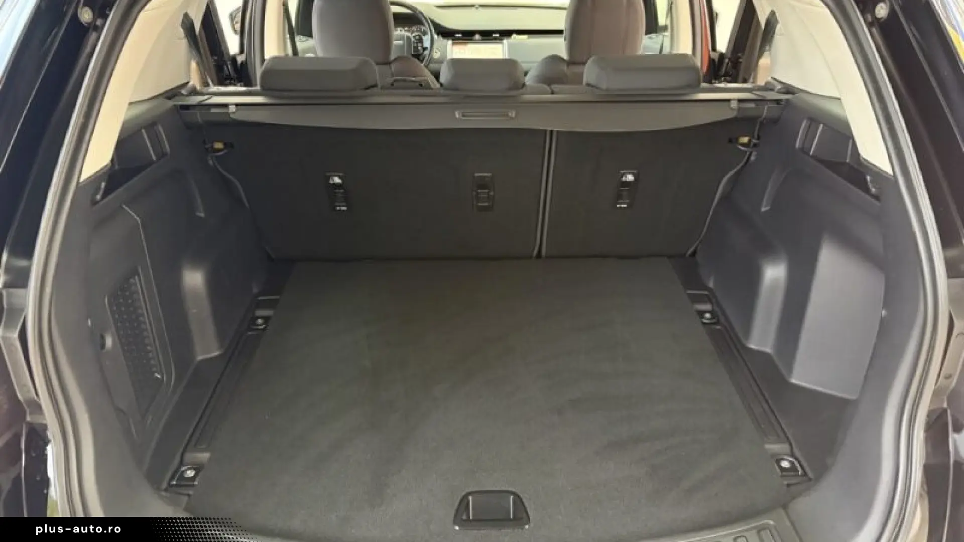 LAND ROVER DISCOVERY SPORT 2020-09