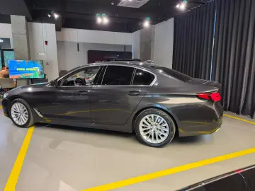 BMW 530D Luxury Line 286CP Mild Hibrid