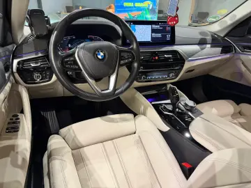 BMW 530D Luxury Line 286CP Mild Hibrid
