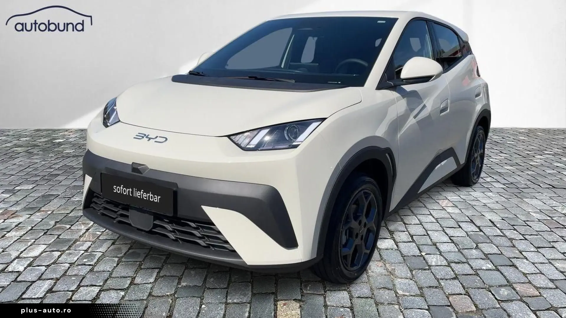 BYD Dolphin Surf Sofort Lieferbar Boost Alu Link NAV