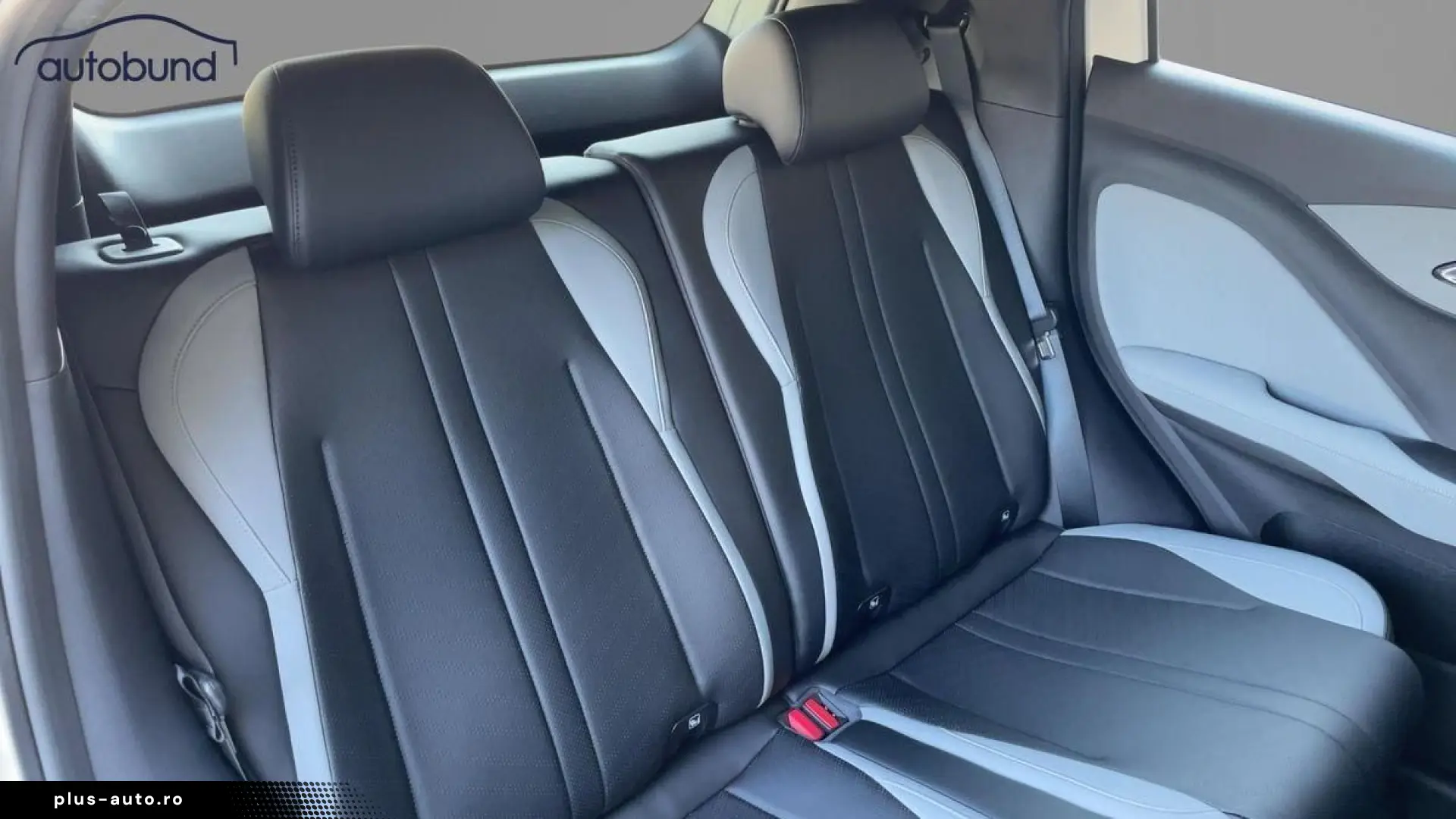 BYD Dolphin Surf Sofort Lieferbar Boost Alu Link NAV