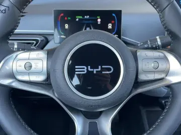 BYD Dolphin Surf Sofort Lieferbar Boost Alu Link NAV