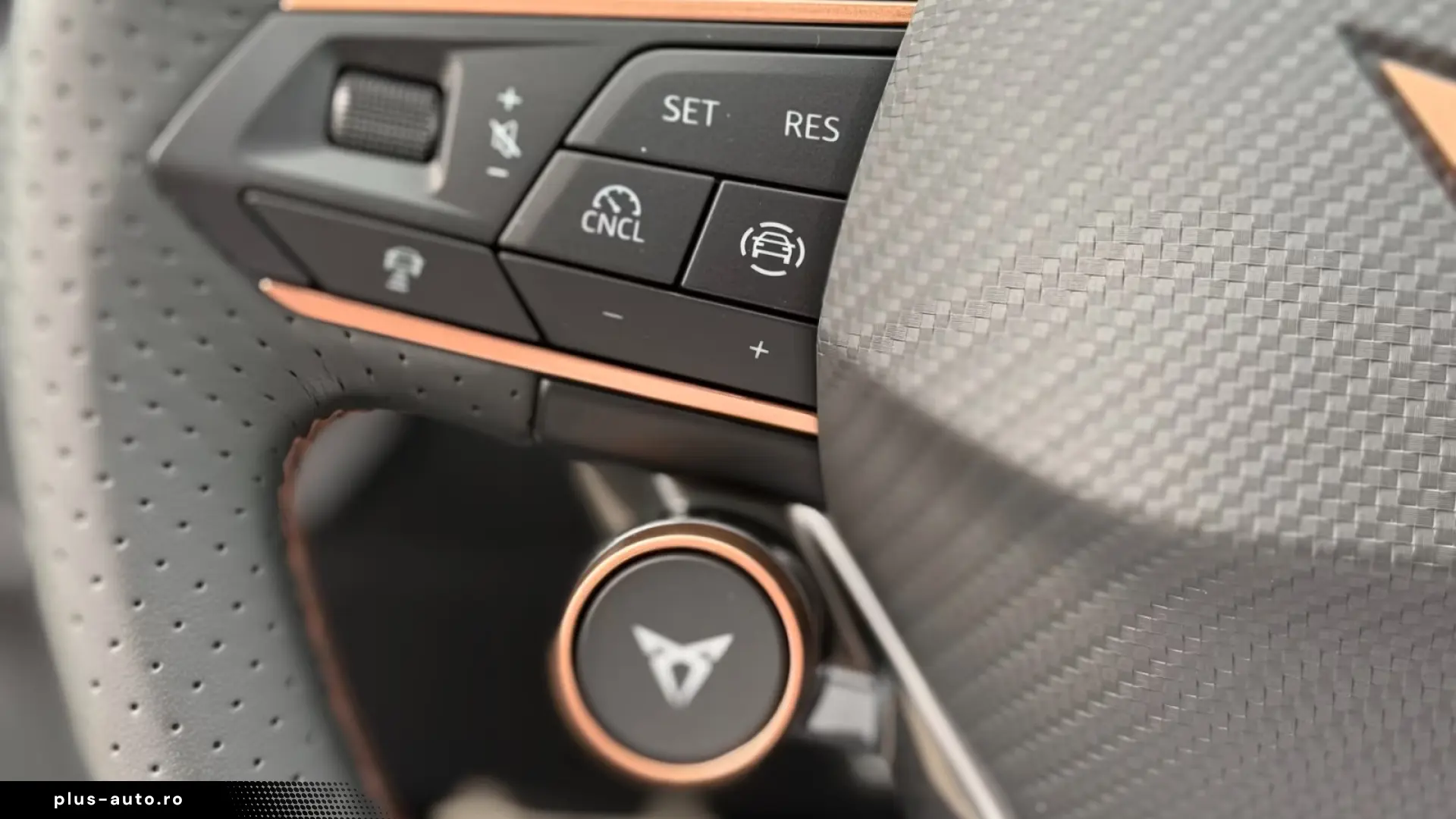 Cupra Terramar VZ 2.0 TSI DSG - Panoramic - Sennheiser