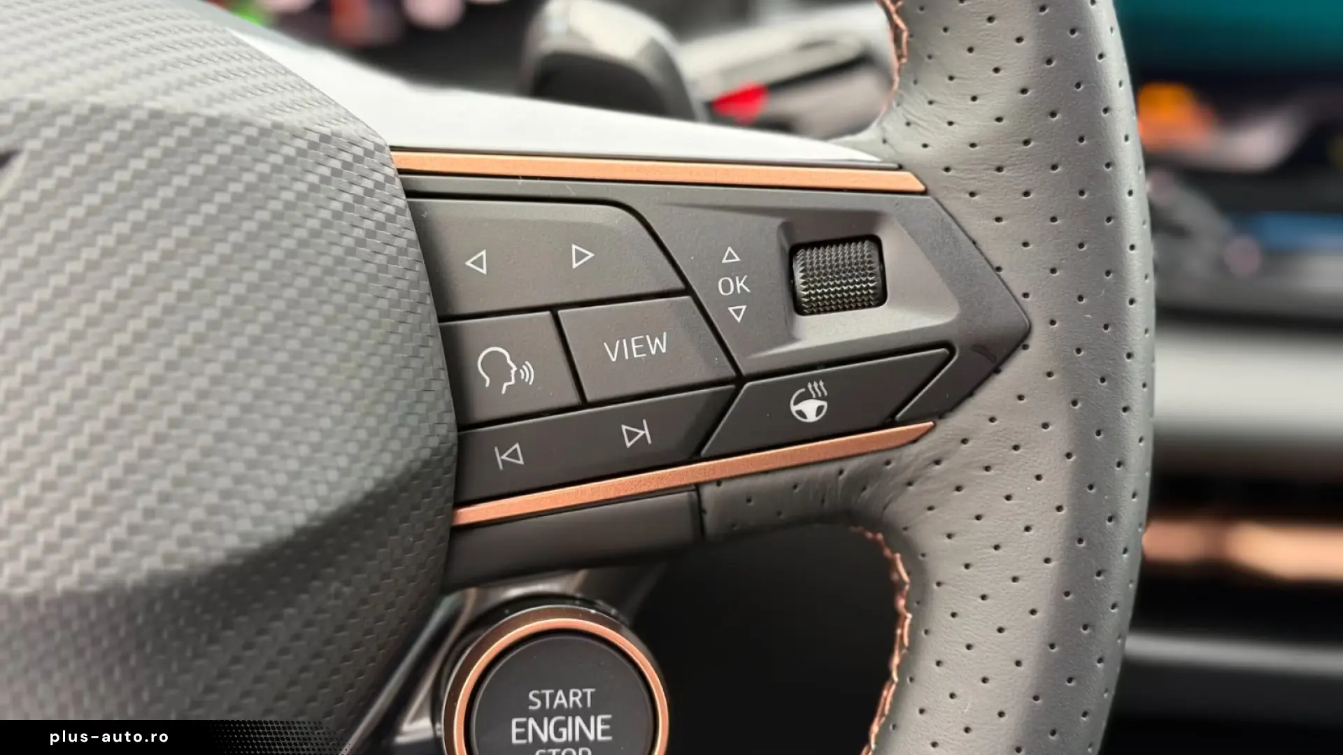 Cupra Terramar VZ 2.0 TSI DSG - Panoramic - Sennheiser