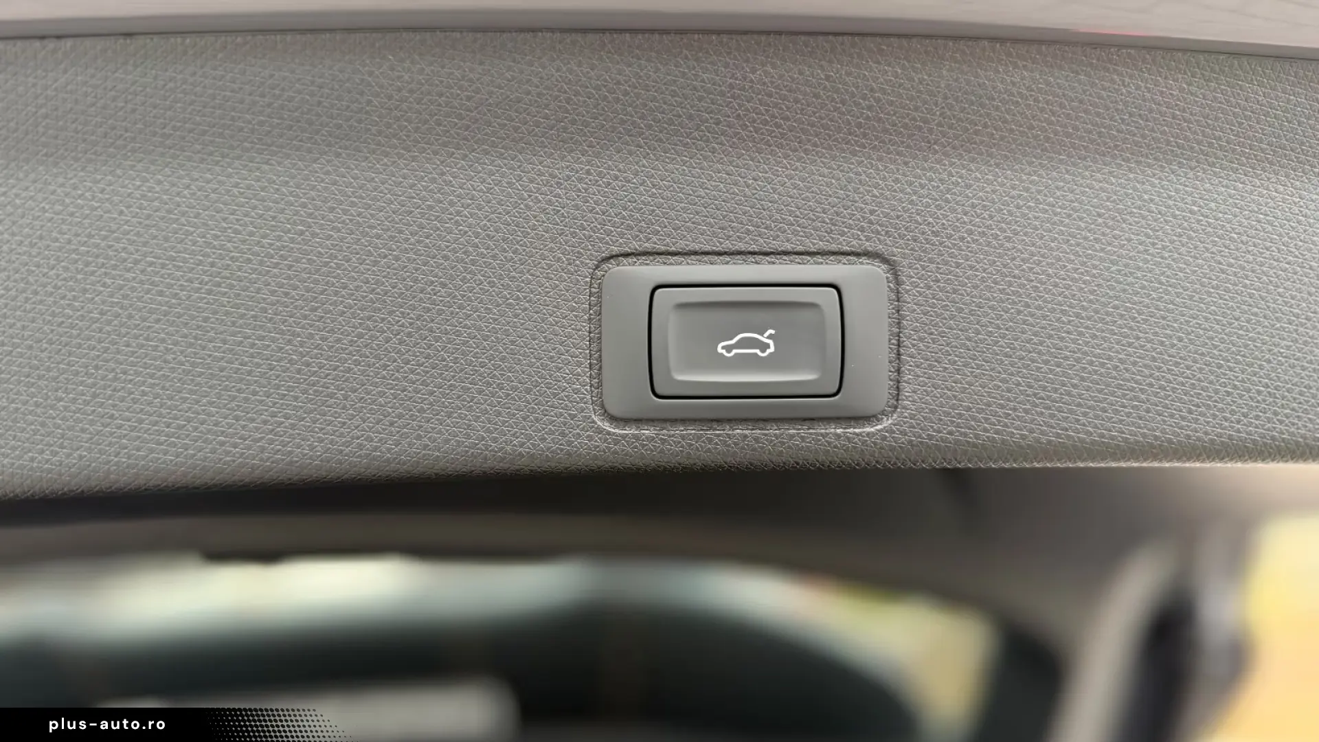 Cupra Terramar VZ 2.0 TSI DSG - Panoramic - Sennheiser