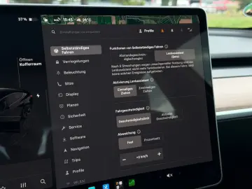 TESLA Model 3 Long Range RWD aus 1.Hand SOH 93 9%