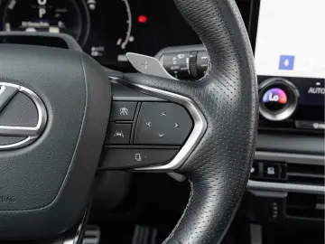 LEXUS RX 500h F Sport Line  ACC PANO