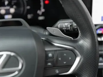 LEXUS RX 500h F Sport Line  ACC PANO