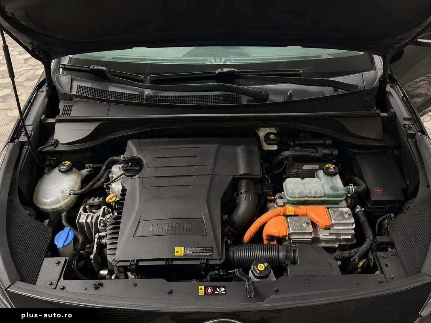 Kia Niro 2018 1.6 Benzina Hybrid •Full•