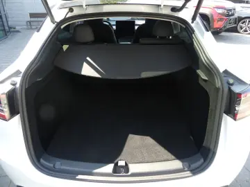 TESLA Model Y Performance Dual AWD