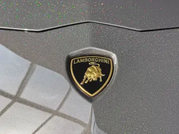 LAMBORGHINI Aventador S Roadster 1 of 1   AD PERSONAM   Samm