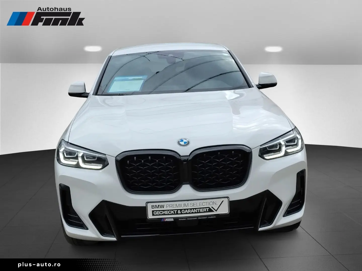 BMW X4 xDrive20i M Sportpaket Head-Up HiFi DAB LED