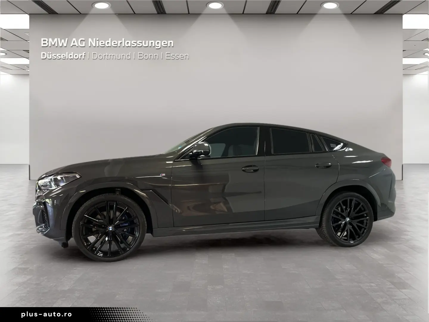 BMW X6 xDrive40i M Sport Driv.Assist.Prof Head-Up