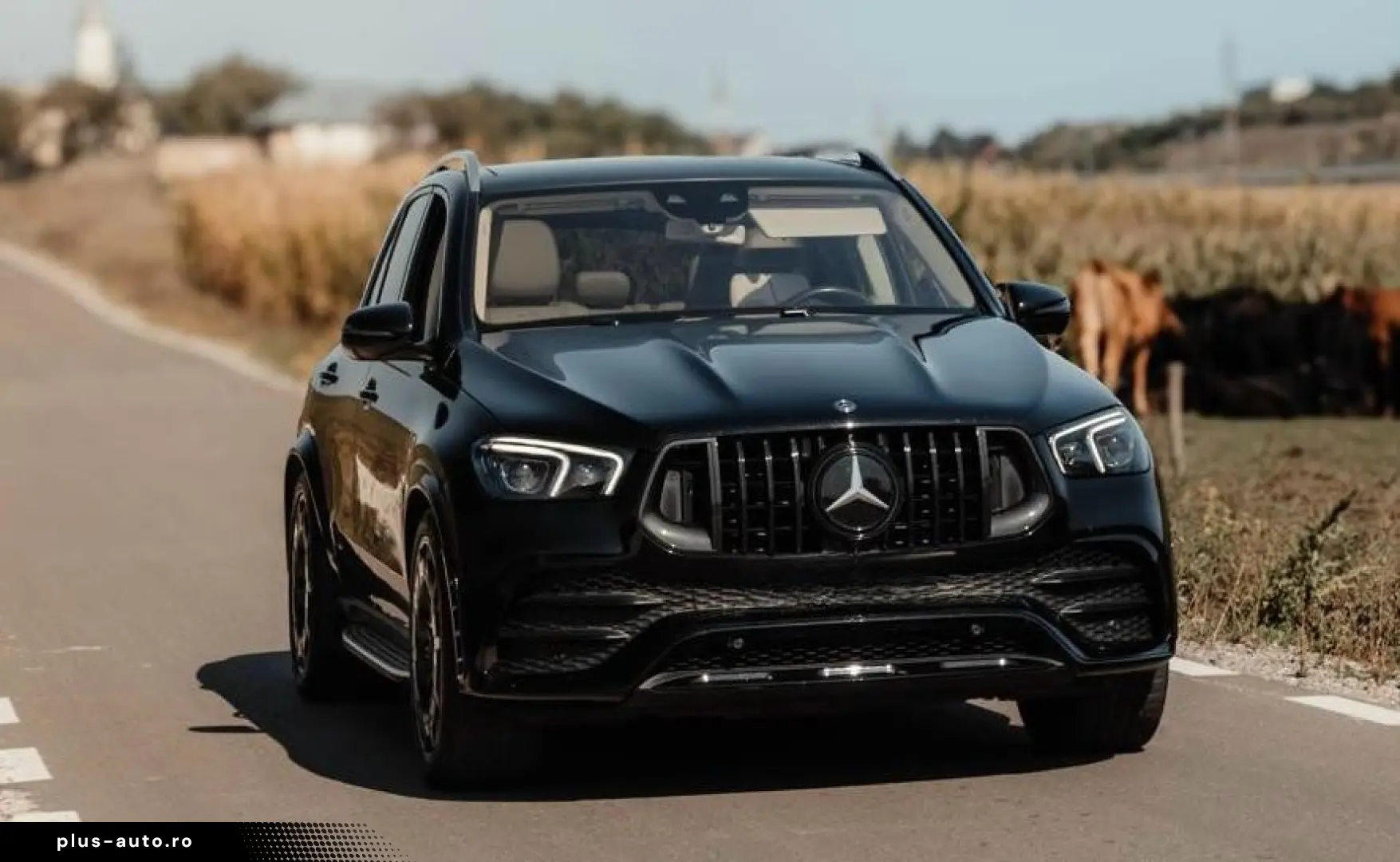 Mercedes-Benz GLE 350