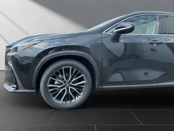 Lexus NX 350h 350h Executive Line Cam 360'