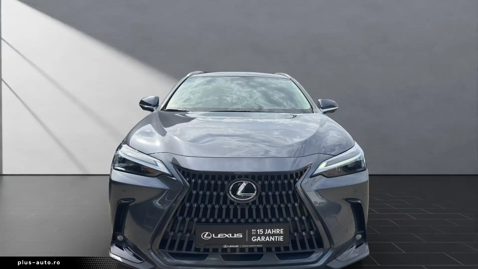 Lexus NX 350hBusiness Line Ventilatie Cam 360'