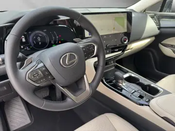 Lexus NX 350hBusiness Line Ventilatie Cam 360'