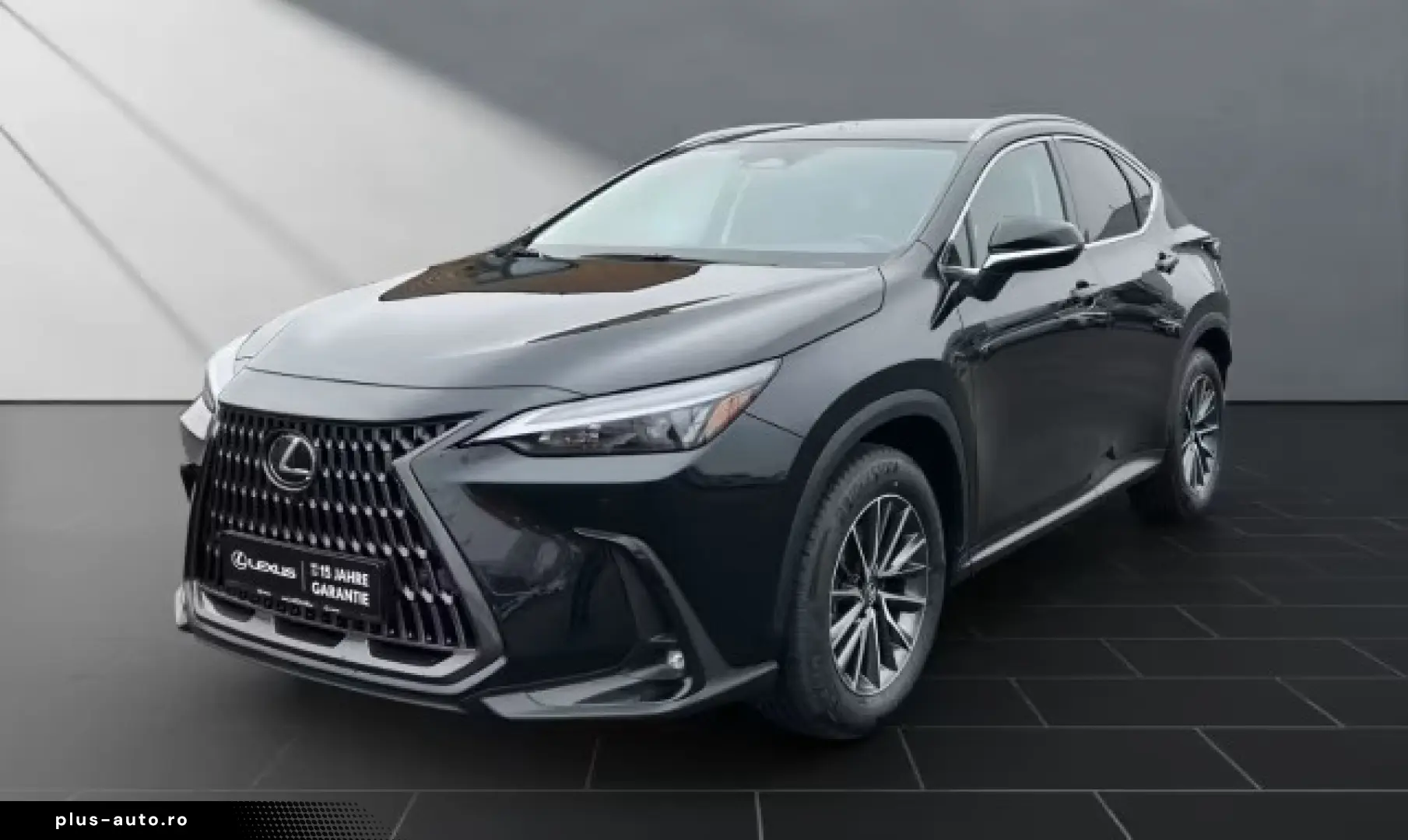 Lexus NX 350h Business Line Cam 360' Ventilatie