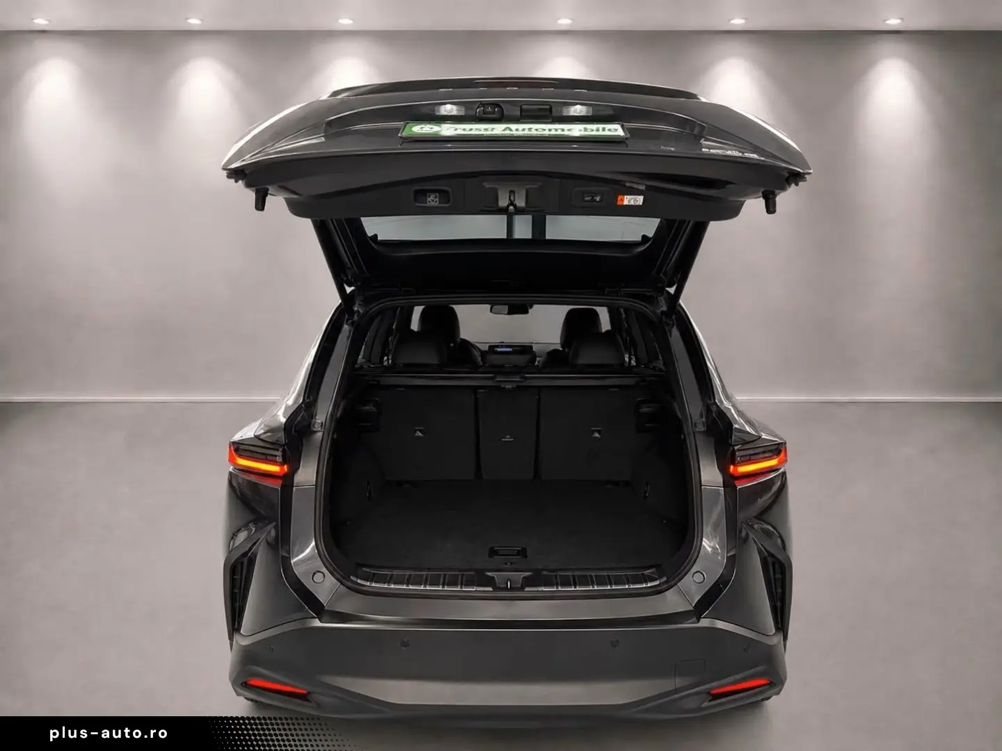 LEXUS RZ 450e Executive Line