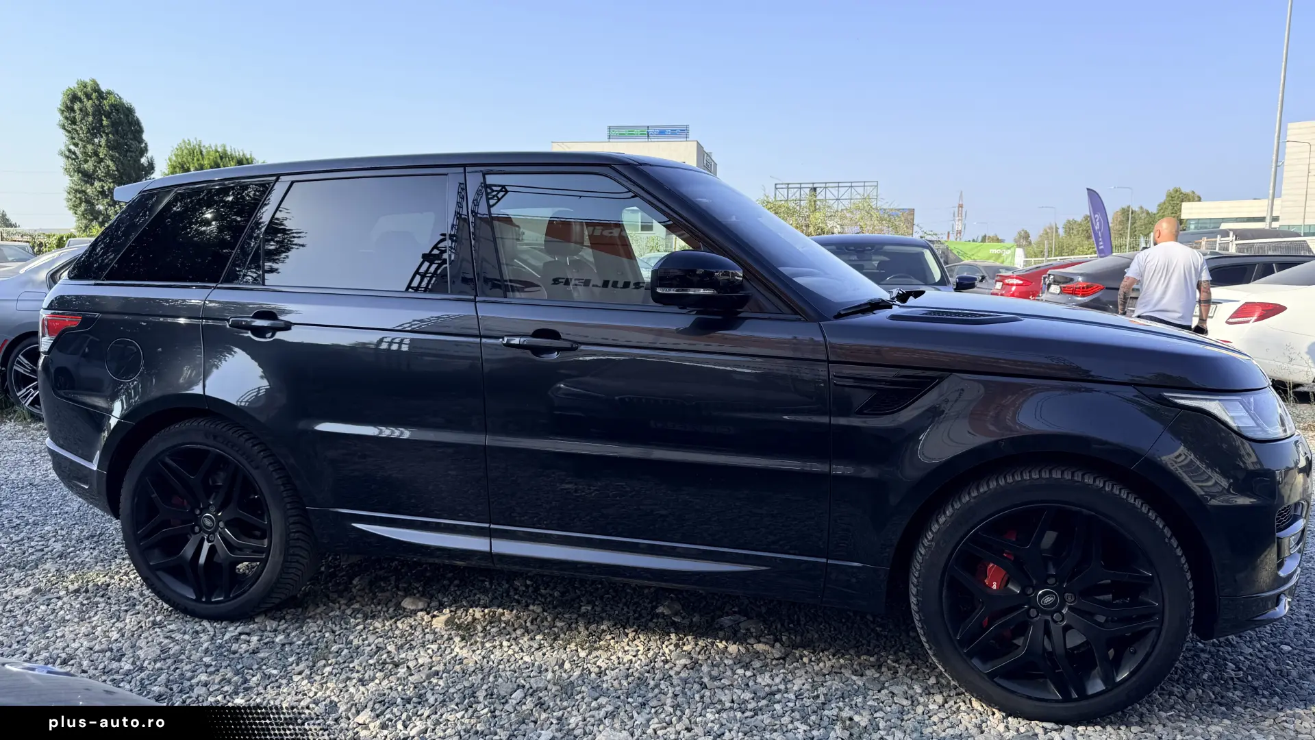 SDV8 Autobiography  R Dynamic