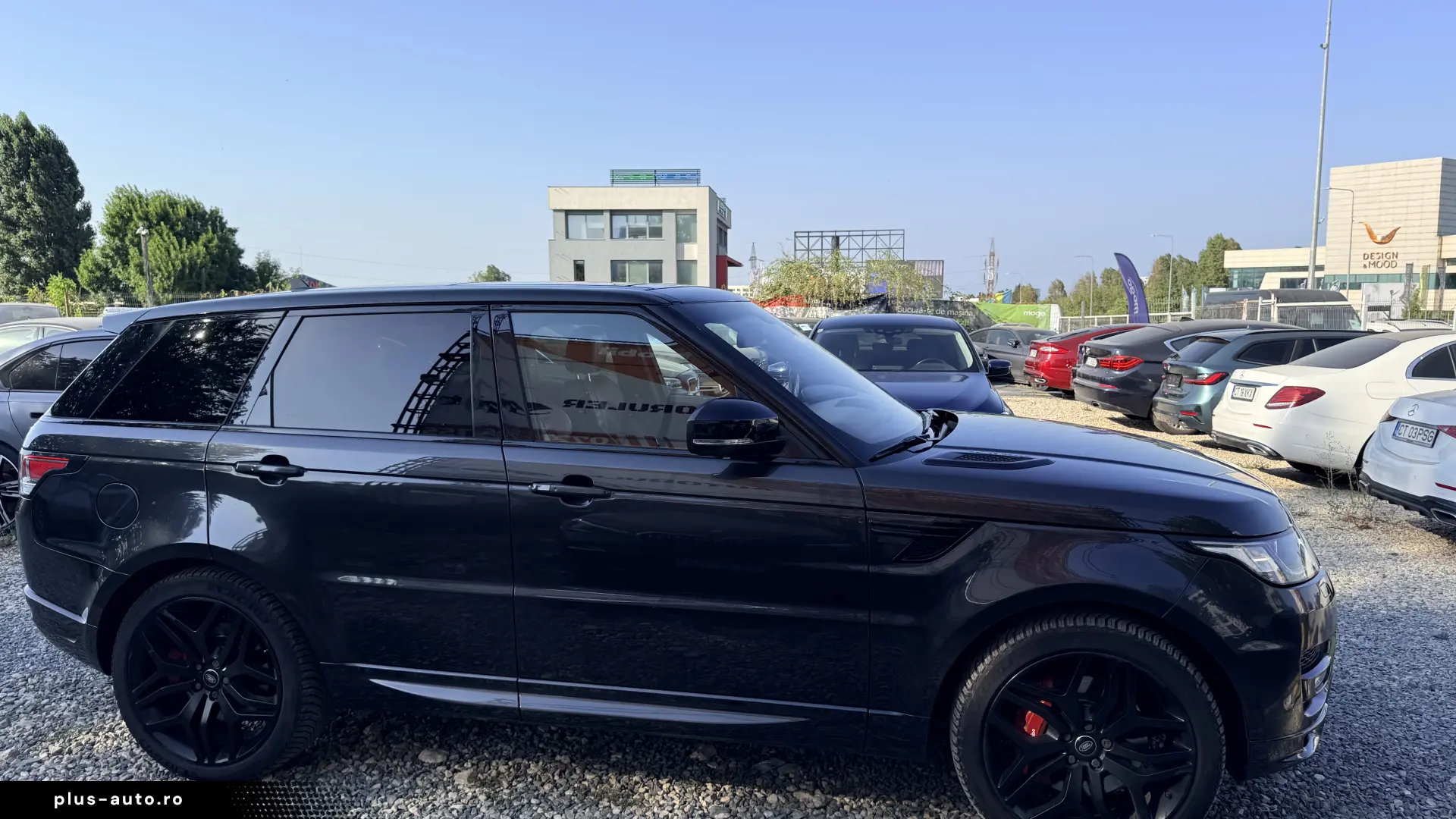 SDV8 Autobiography  R Dynamic